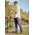 Mens Lightweight Outdoor Pant - ZP180 - Navy
