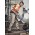 Mens Rugged Cooling Cargo Pant (Regular) - ZP504 - Khaki
