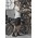 Mens Streetworx Board Short - ZS240 - Black