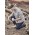 Mens Outdoor Long Sleeve Shirt - ZW460 - Stone