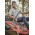 Mens Outdoor Short Sleeve Shirt - ZW465 - Stone